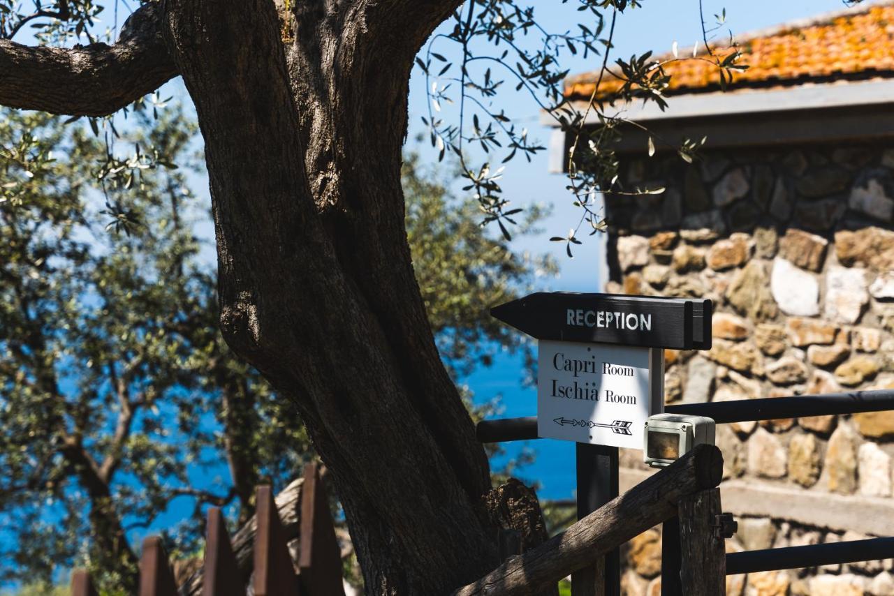 مبيت وإفطار ماسّا لوبْرينسِ Casa Clementina Marciano المظهر الخارجي الصورة