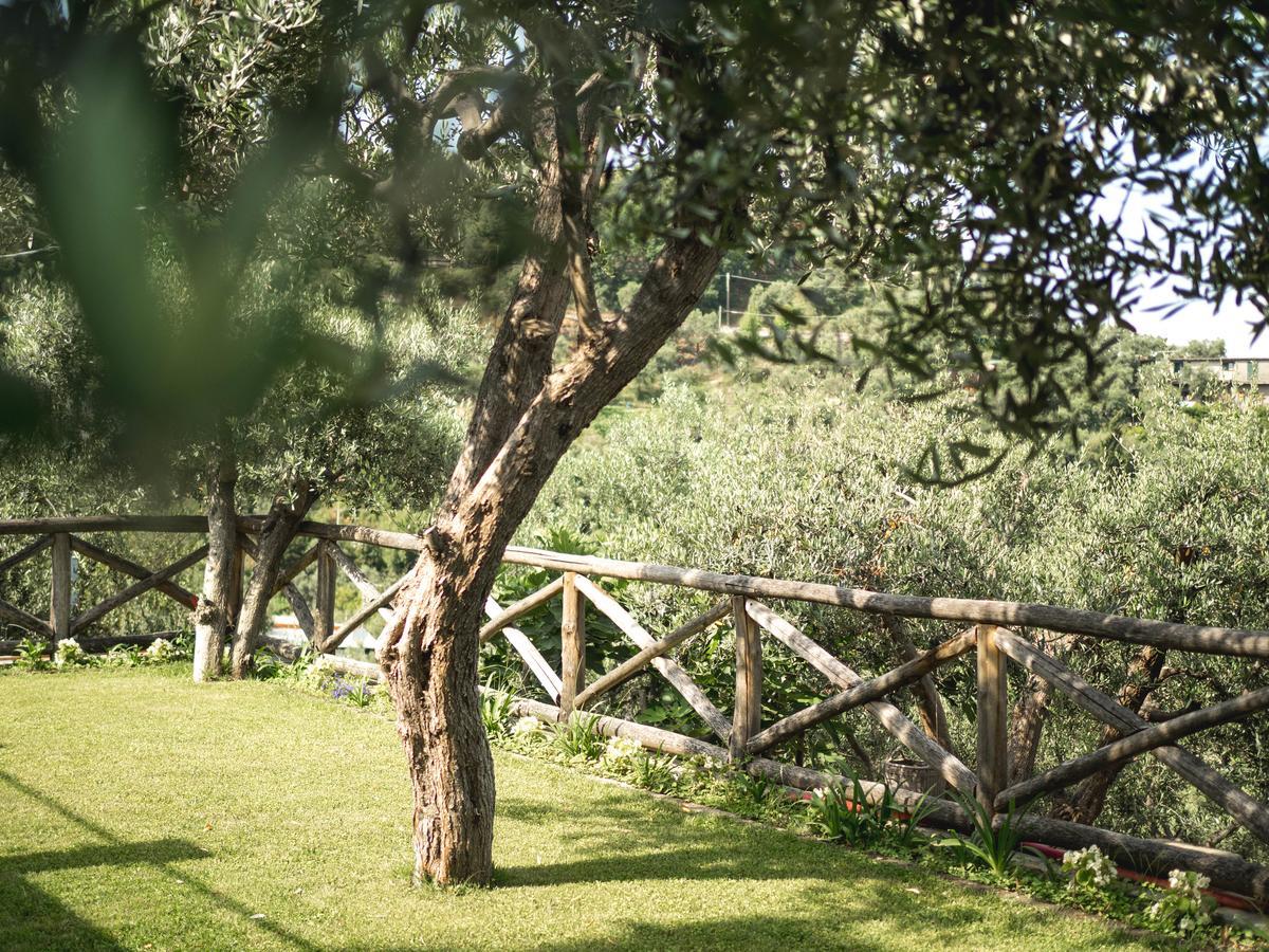 مبيت وإفطار ماسّا لوبْرينسِ Casa Clementina Marciano المظهر الخارجي الصورة